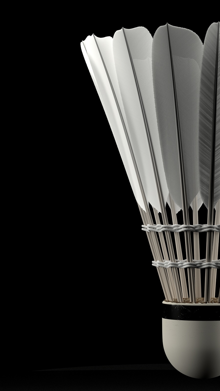 角色球员 角色球员